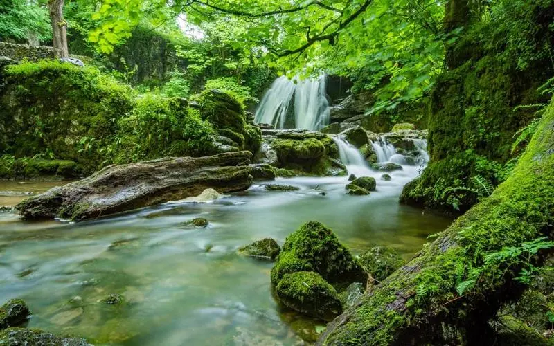 高标准高效环保